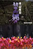 書籍「幡谷紀夫写真集 寺山修司 望郷」