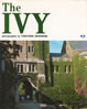 書籍/林田昭慶「The IVY」