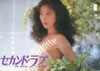 書籍/雑誌「セカンド・ラブ パンフレット」
