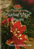 書籍/雑誌「岡村孝子コンサートパンフレットSolo debut 25th Anniversary Okamura Takako Special Live 2010 Christmas Picnic」