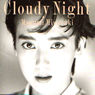�{���ݏ��uCloudy Night�v