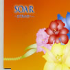MIE「SOAR〜まだ見ぬ空へ〜」