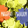 T-XNGAuPassion Flowerv