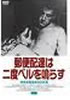 DVD�u�X�֔z�B�͓�x�x����炷�v